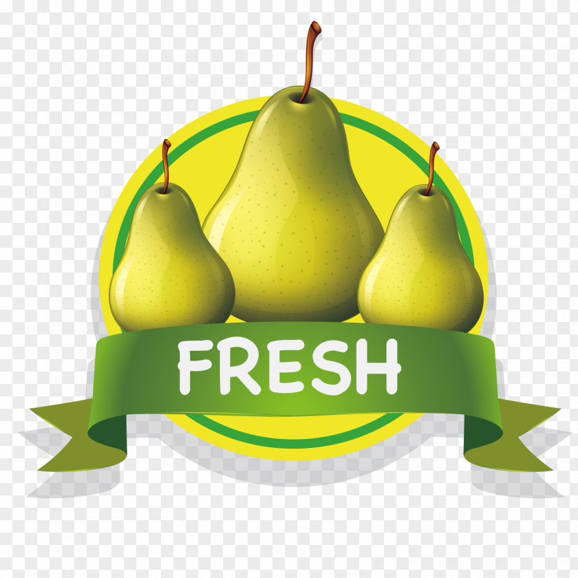 Vector Pears Fruit Royalty-free Mango Clip Art PNG