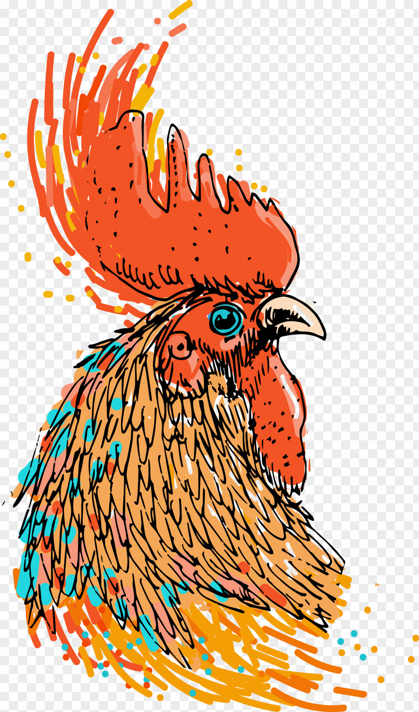 Chicken Illustration Vector Graphics Stock Photography Royalty-free PNG