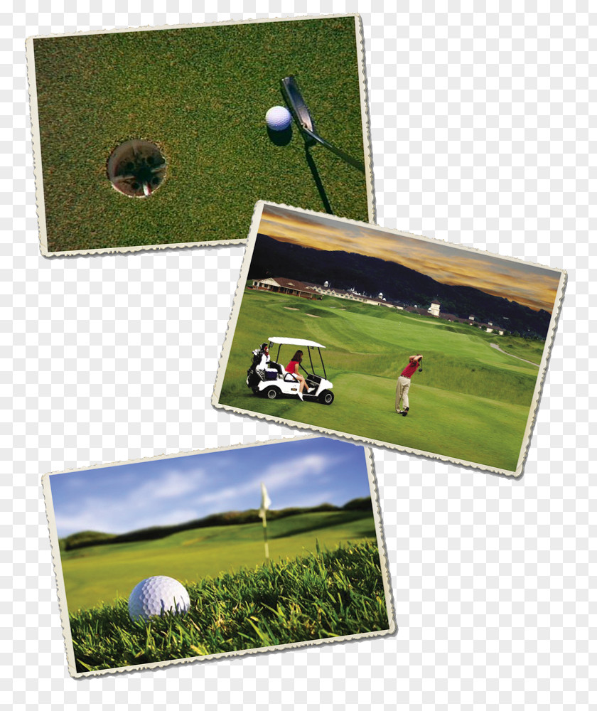 Golf Balls LCD Television PNG
