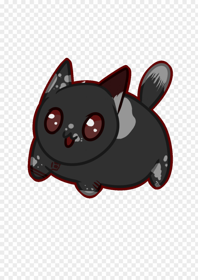 Kitten Whiskers Black Cat Dog PNG