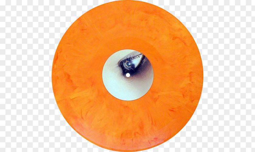 Perfect Circle Thirteenth Step A Phonograph Record Mer De Noms LP PNG