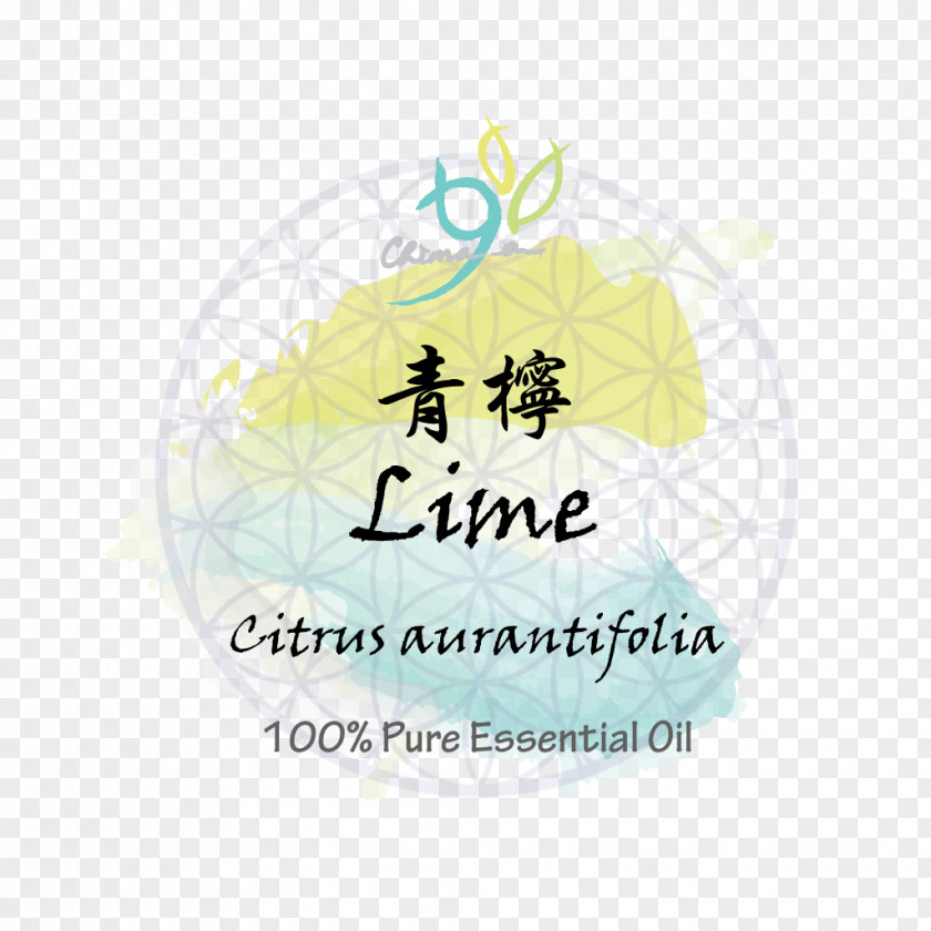 Lime Essential Oil Logo Social Equality Les Misérables Liberté, égalité, Fraternité Fraternity PNG