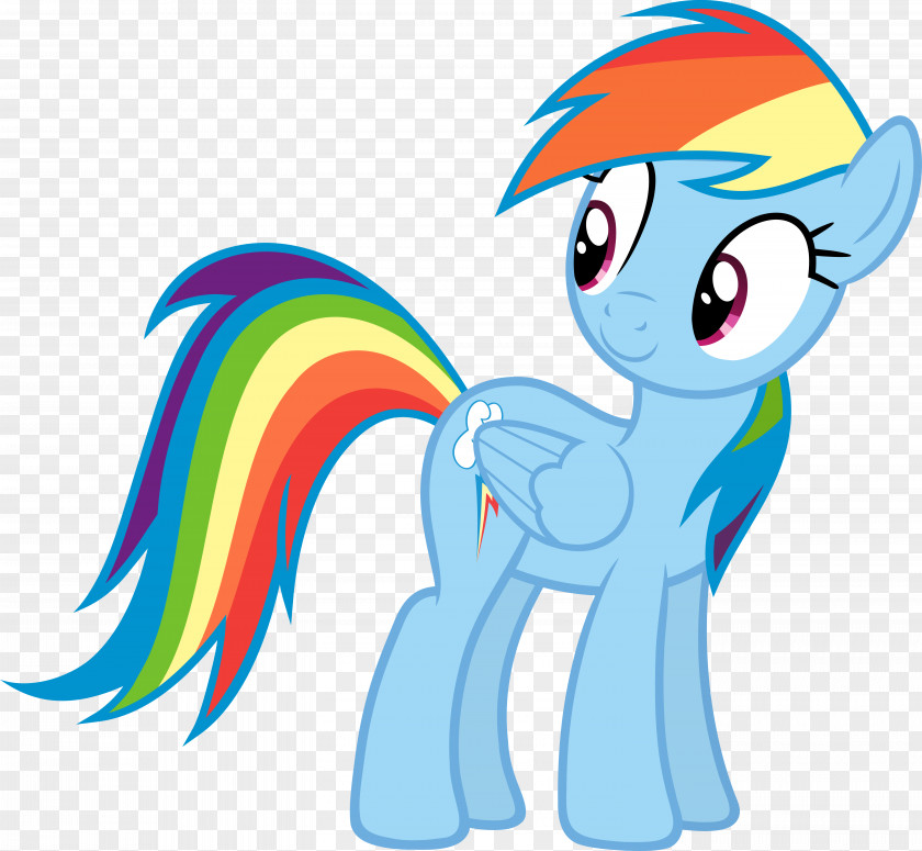 My Little Pony Rainbow Dash Fluttershy DeviantArt PNG