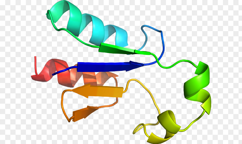 Pi Helix Product Design Clip Art Organism Line PNG