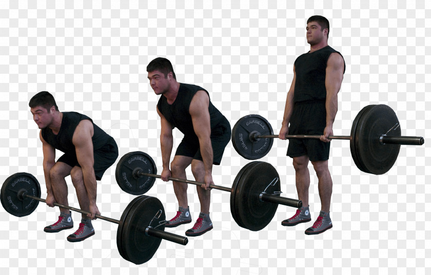 Barbell Deadlift Physical Exercise Muscle Olympic Weightlifting Squat PNG