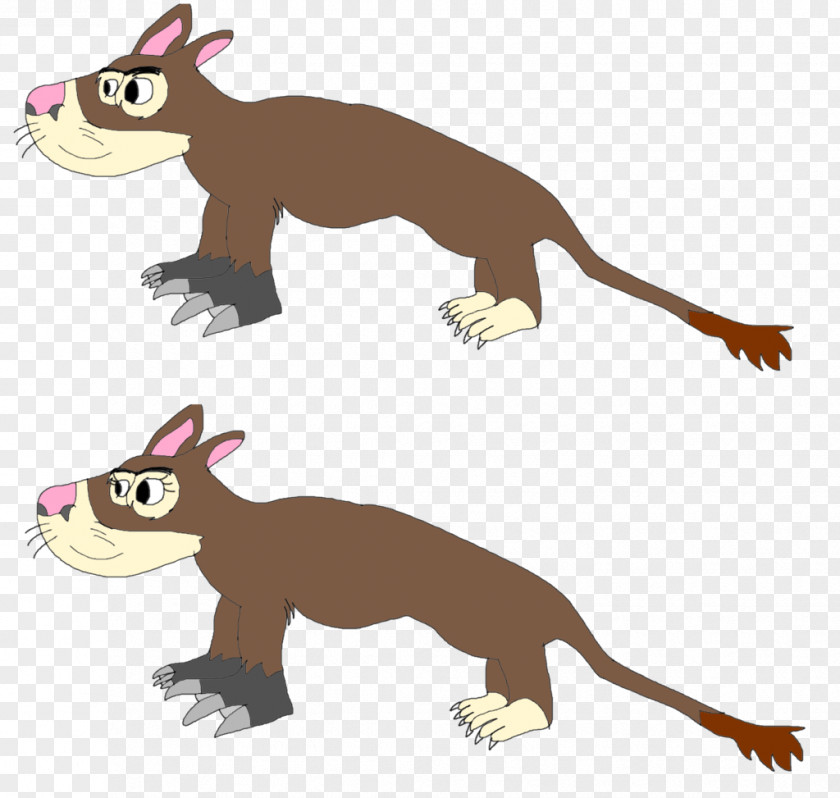 Cat Rodent Terrestrial Animal Dog PNG