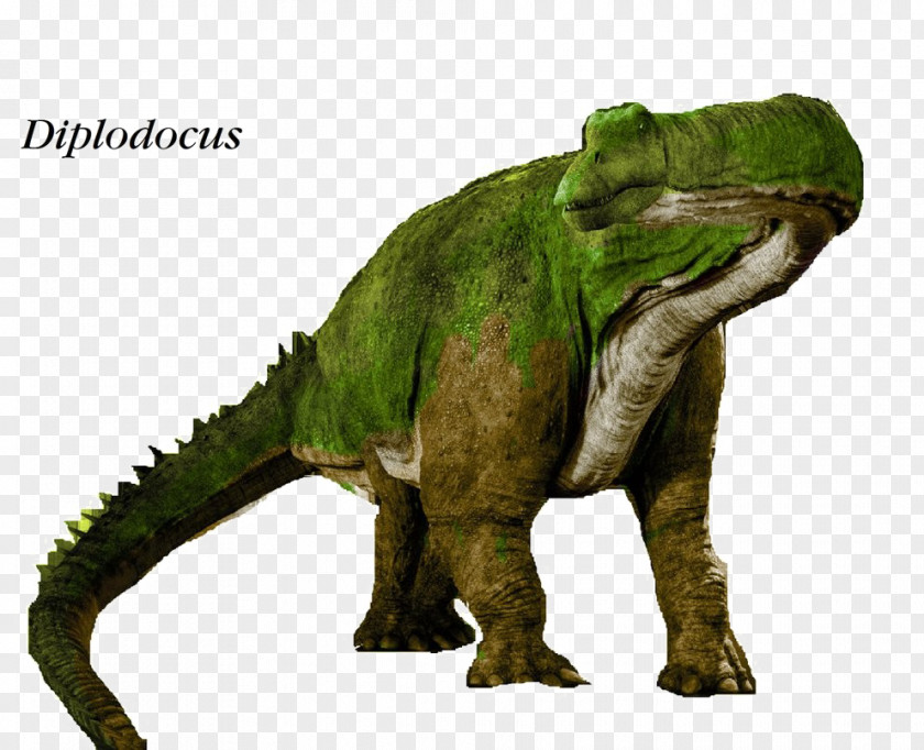 Dinosaur Diplodocus Giganotosaurus Wannanosaurus Megalosaurus Fabrosaurus PNG