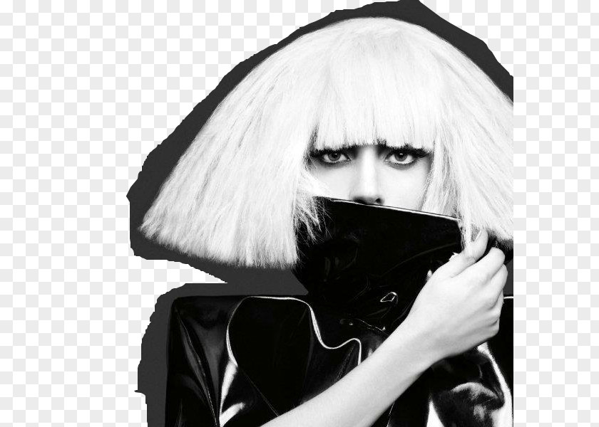 Gaga The Monster Ball Tour Fame Lady Album PNG