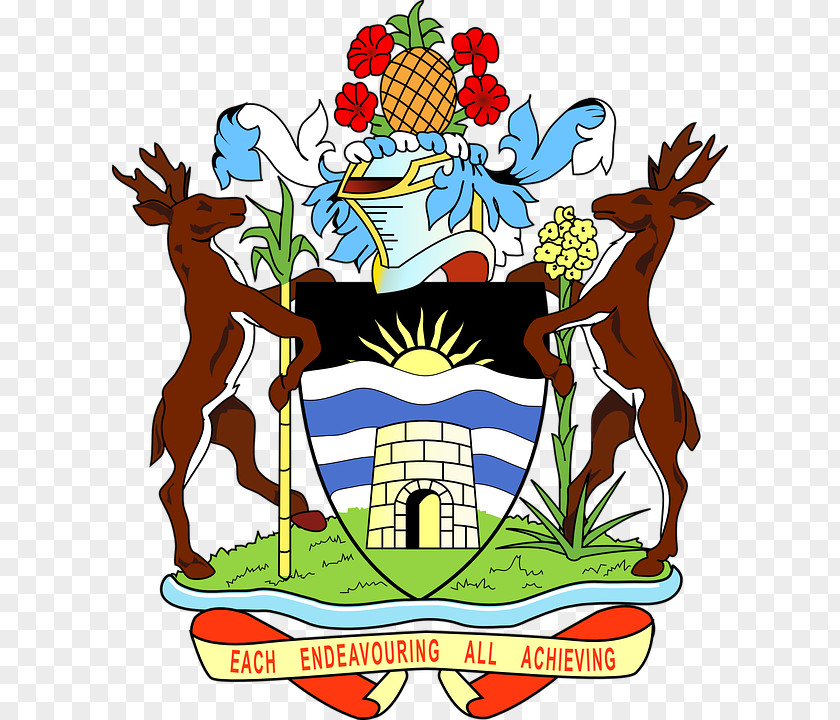 Happy Two Sheep St. Johns Politics Of Antigua And Barbuda Government PNG
