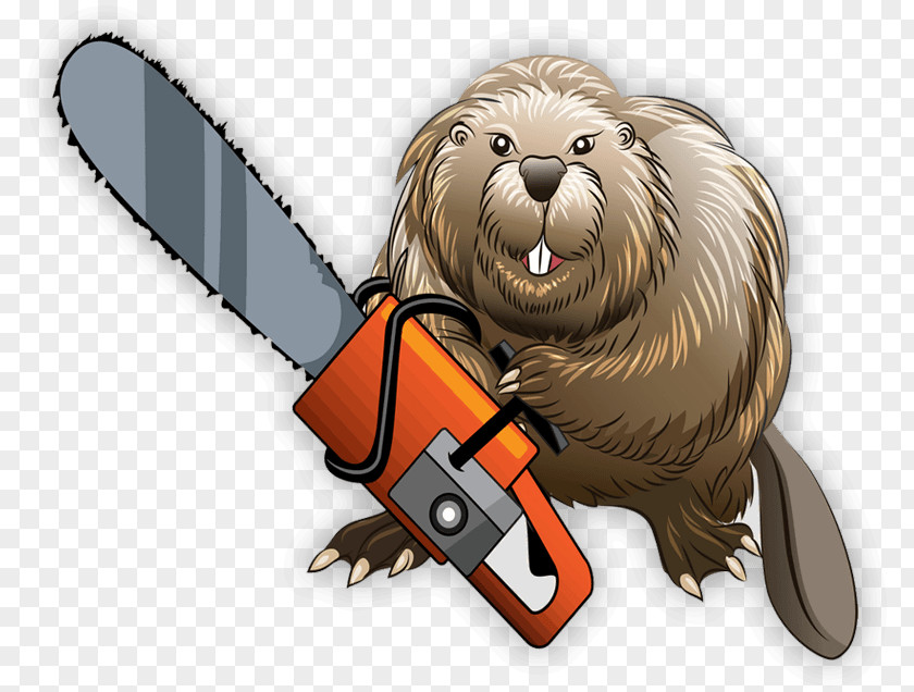 Beaver Chainsaw PNG