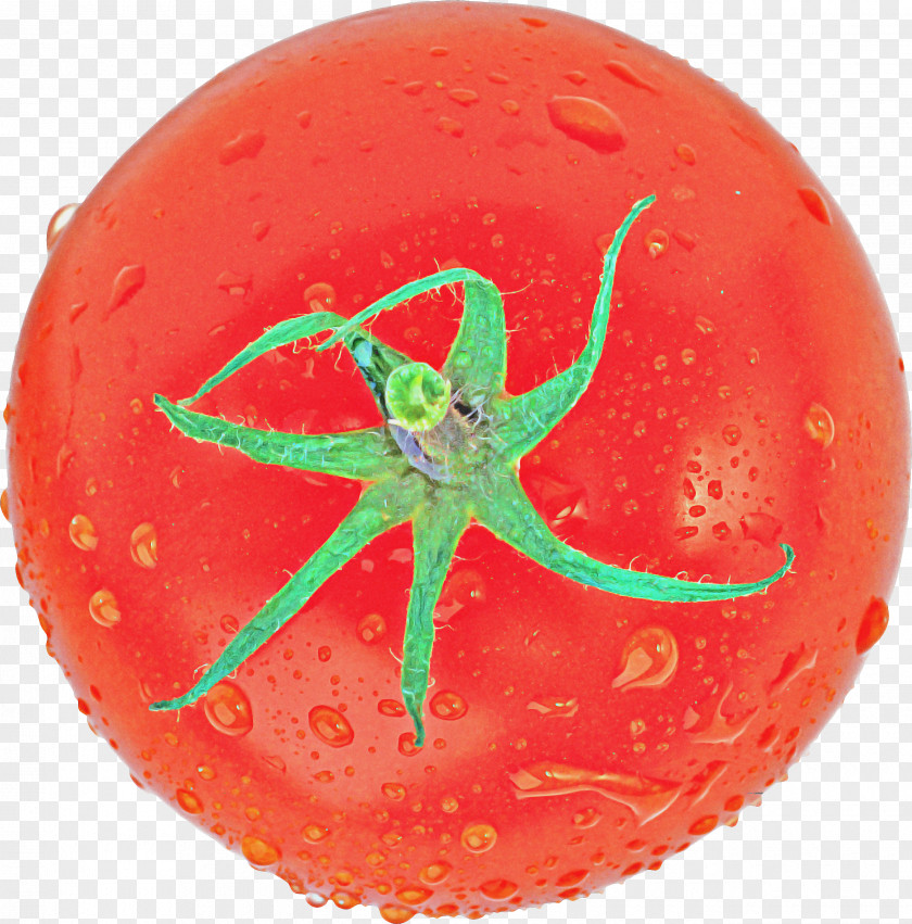 Flying Disc Bouncy Ball Tomato Cartoon PNG