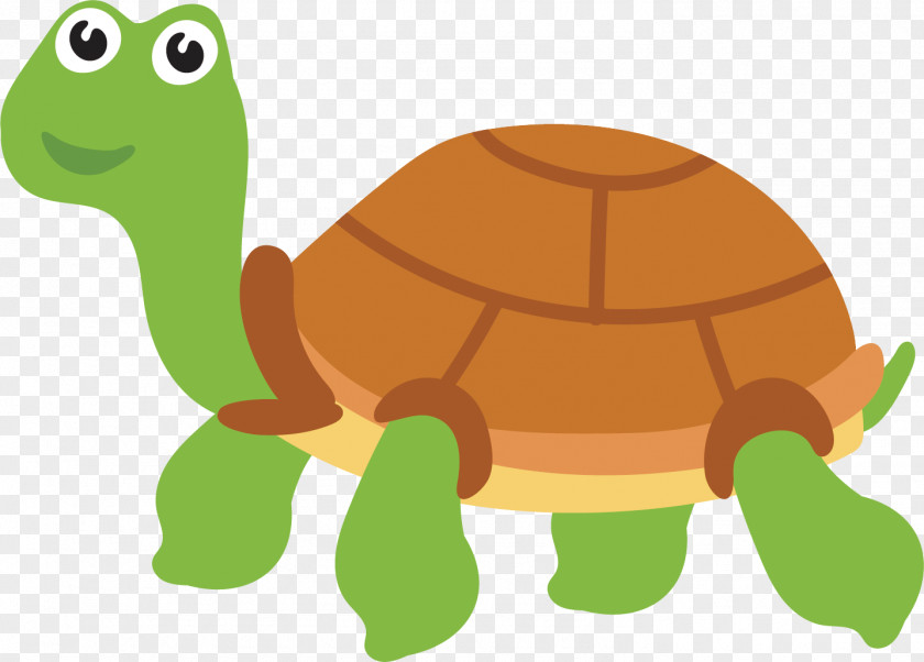 Hand Painted Sea Turtle Vector Tortoise PNG