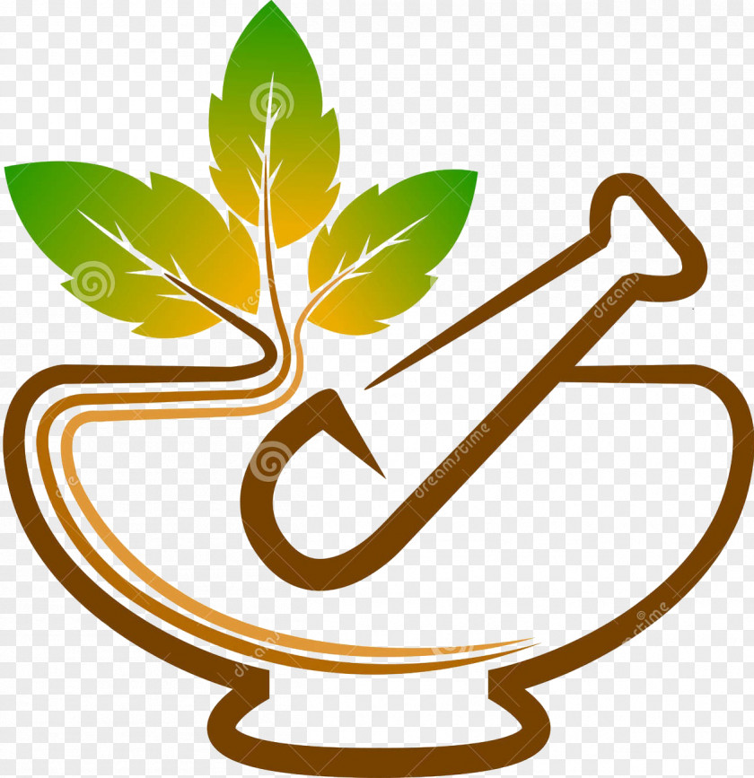 Herbs Vector Graphics Ayurveda Herb Krishna Park Resort Illustration PNG