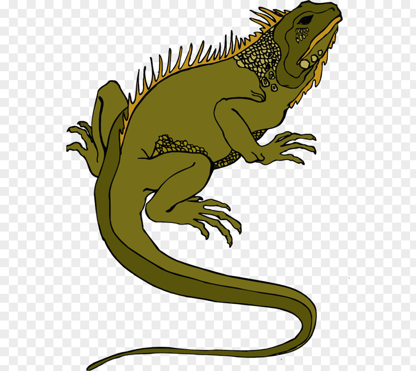 Lizard Cliparts Texas Horned Reptile Common Iguanas Clip Art PNG