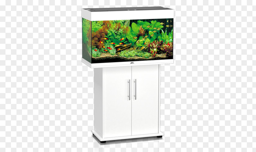 Marine Invertebrates Aquariums JUWEL Rio 240 LED Aquarium Filters Water Filter PNG