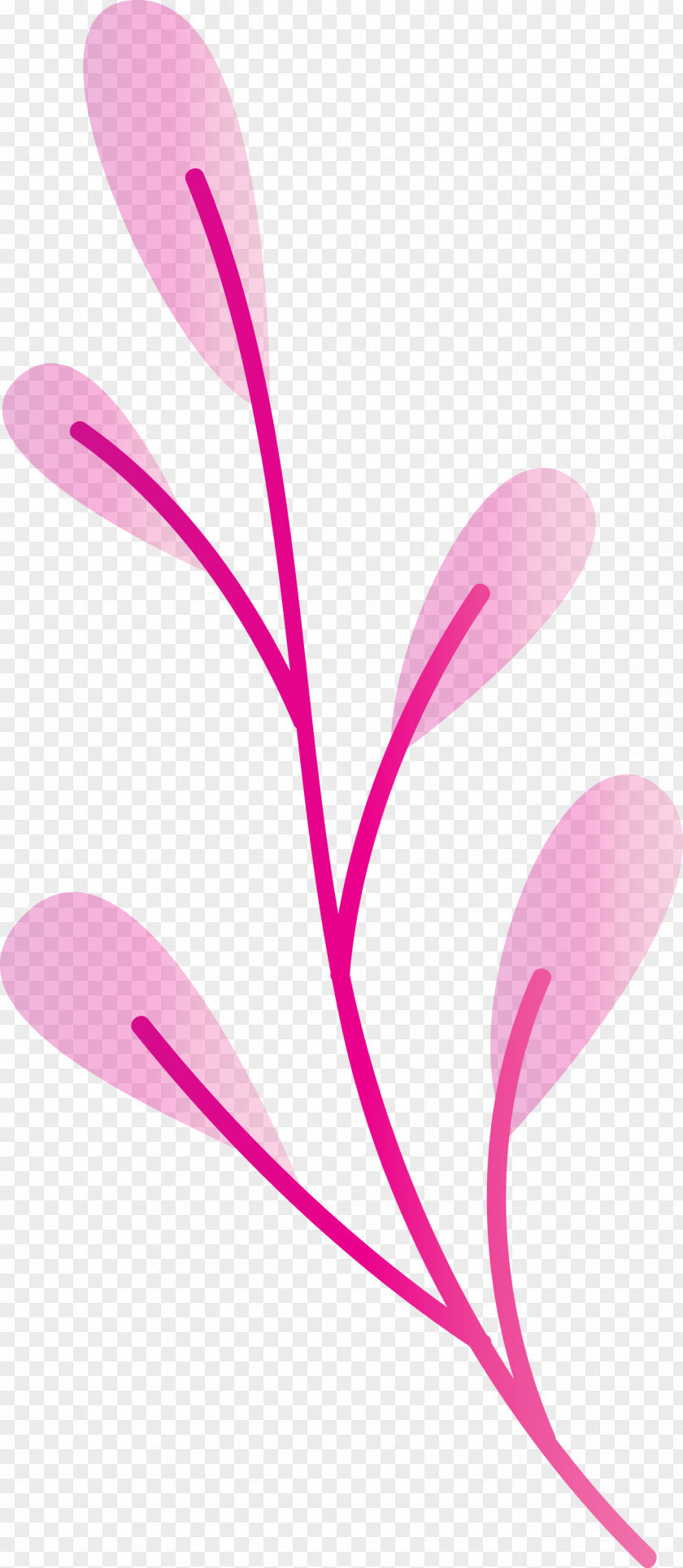 Plant Stem Petal Leaf Branch Pink M PNG