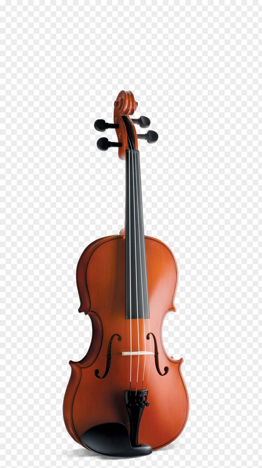 Quest Violin Musical Instruments Bow Viola PNG