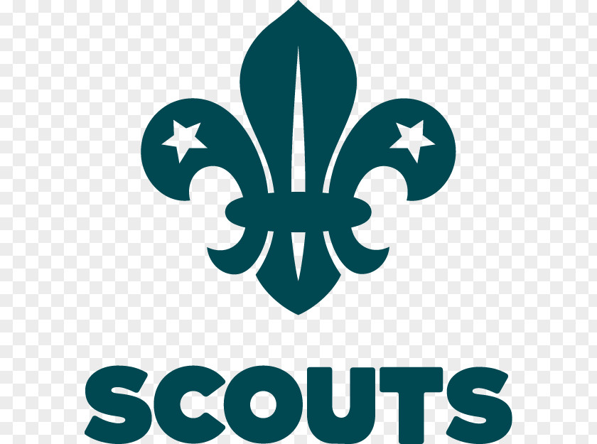 Scout Group Scouting Beavers Beaver Scouts Cub PNG