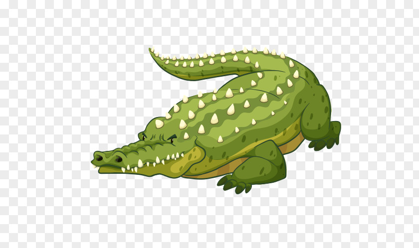 Crocodile Nile American Alligator Reptile PNG