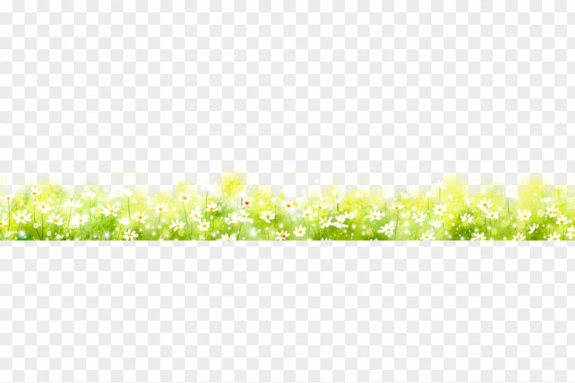 Grass, Plants Download Green Data Search Engine PNG