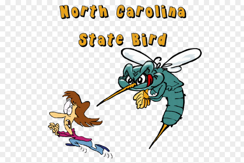 Mosquito Insect North Carolina Drawing Clip Art PNG