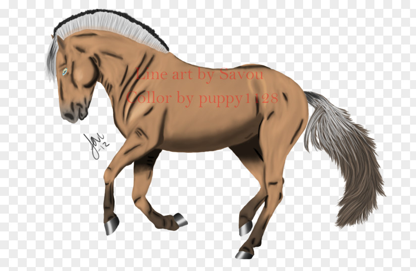 Mustang Mane Fjord Horse Pony PNG