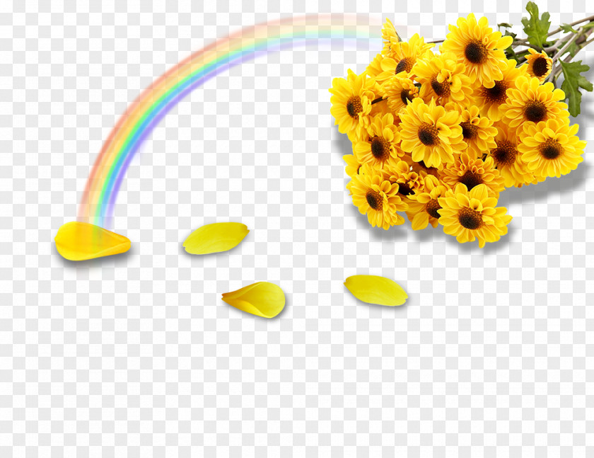 Rainbow Chrysanthemum PSD Material Color Clip Art PNG