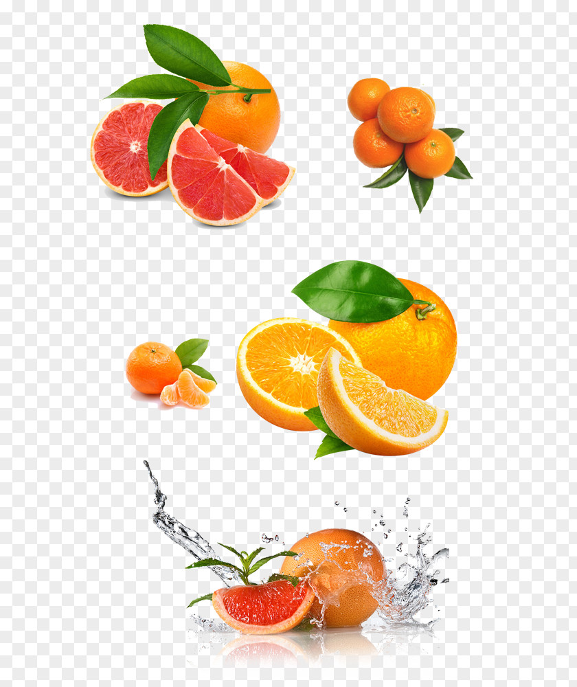 Red Grapefruit Juicer Lemon Squeezer Orange PNG