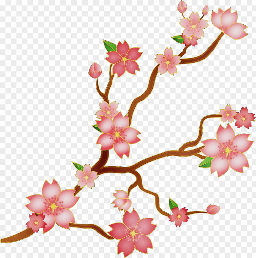 Cherry Blossom PNG