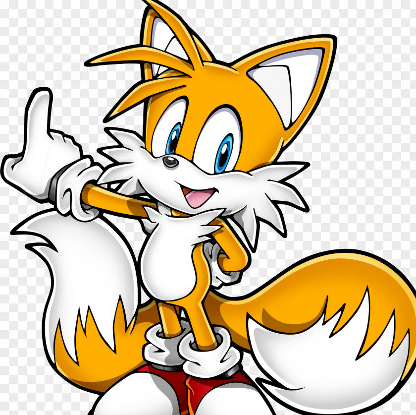 Hedgehog Sonic Chaos Tails The Knuckles Echidna Mania PNG