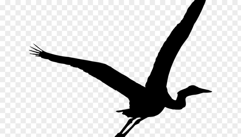 Mallard Silhouette Clipart Green Heron Bird Crane Great Blue PNG