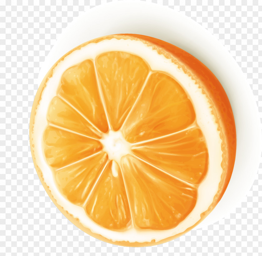 Orange Vector Material Juice Slice Clip Art PNG