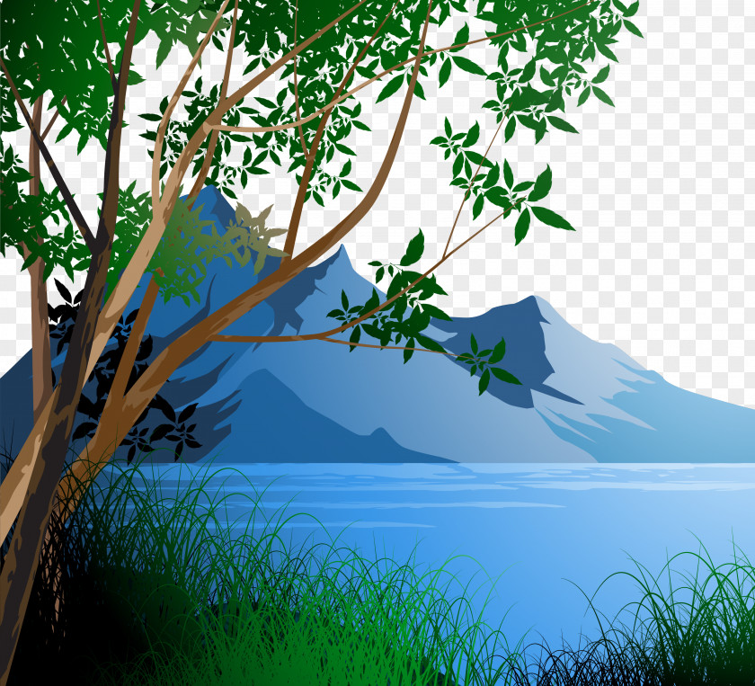 Vector Forest Landscape Royalty-free Drawing Illustration PNG
