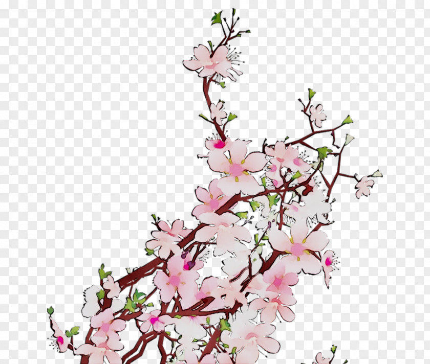 Floral Design IPhone 7 Cherry Blossom Cut Flowers Plant Stem PNG