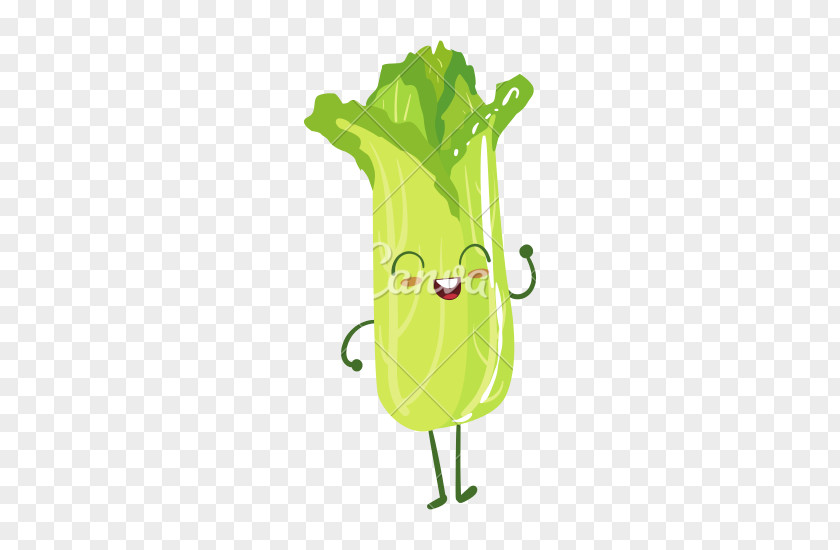 Lettuce Cartoon Salad Vegetable PNG