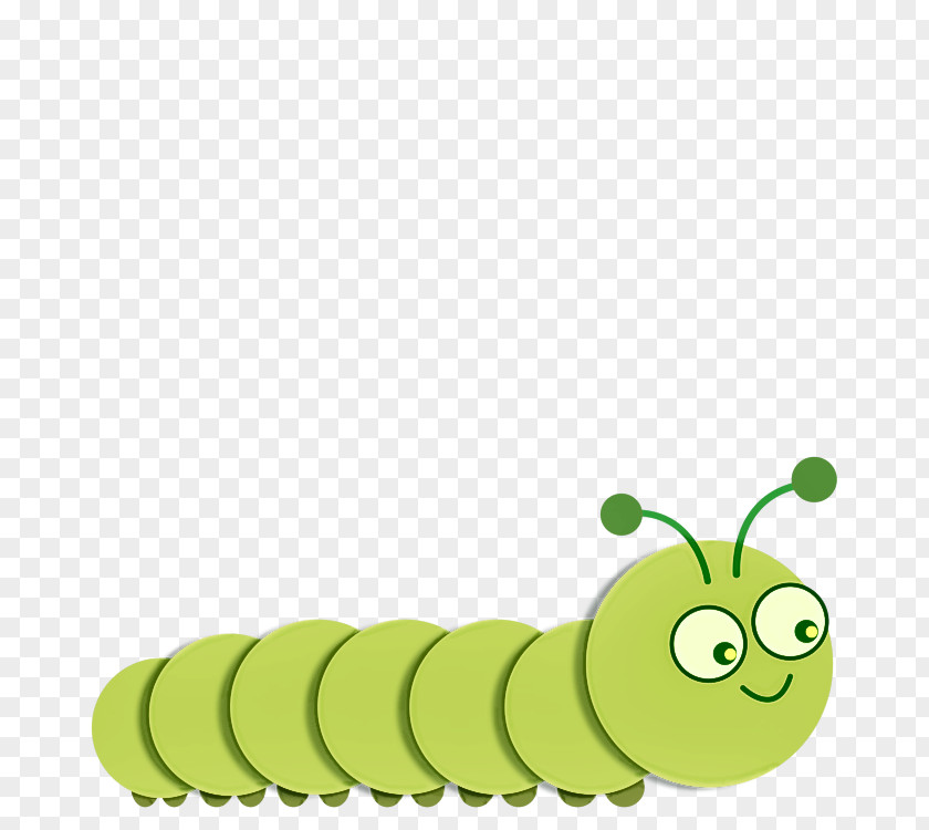 Moths And Butterflies Larva Caterpillar Insect PNG