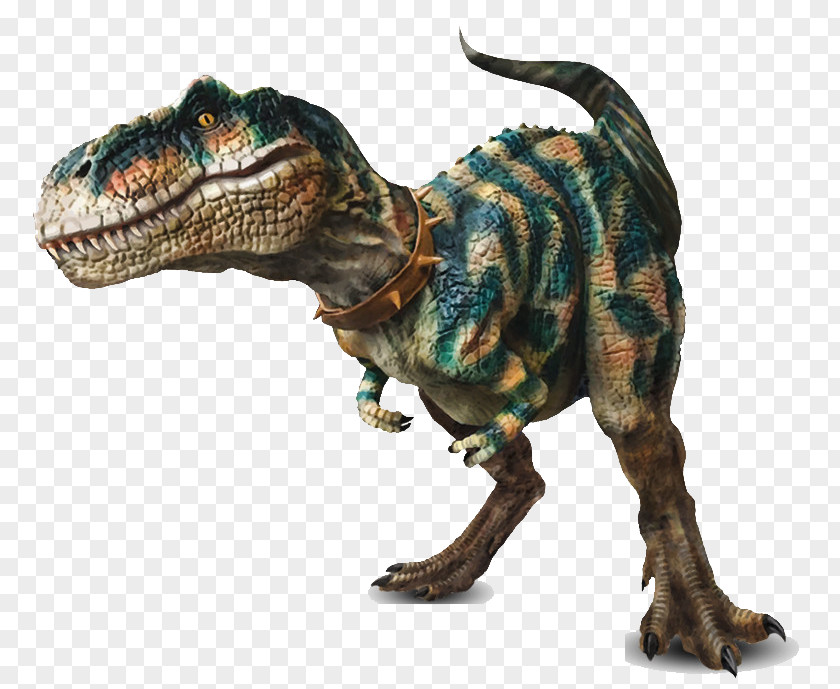 T Rex Dinosaur Valley State Park Tyrannosaurus Ankylosaurus Velociraptor PNG