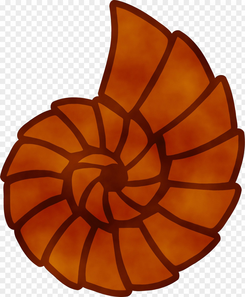 Nautilus Chambered Watercolor Leaf PNG