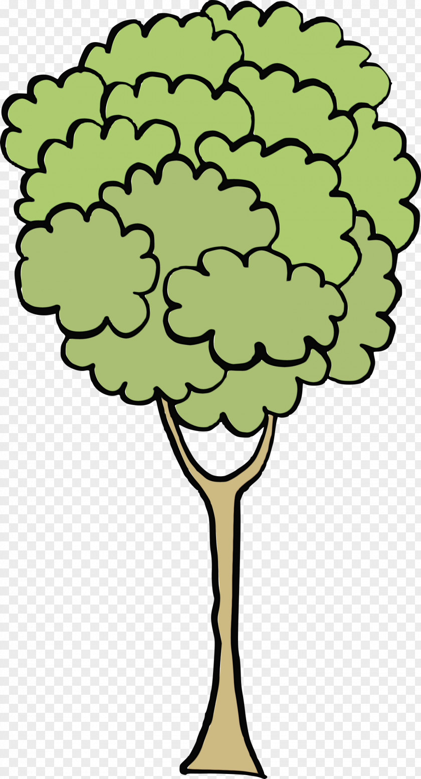 Plant Stem Leaf Flower Tree Green PNG