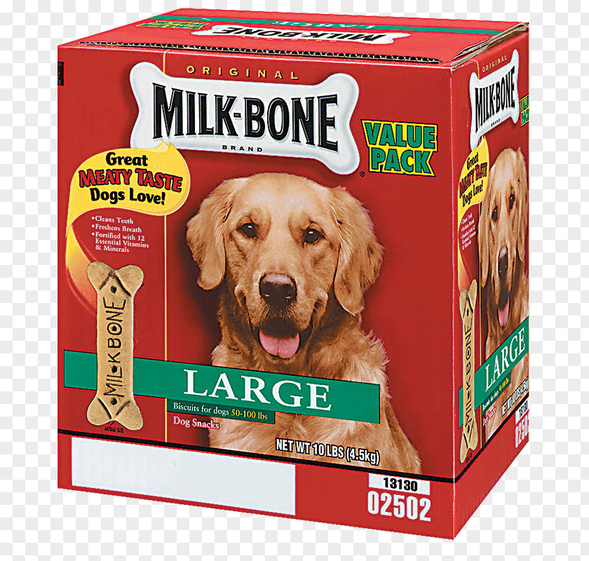 Golden Retriever Milk-Bone Puppy Dog Food Biscuit PNG