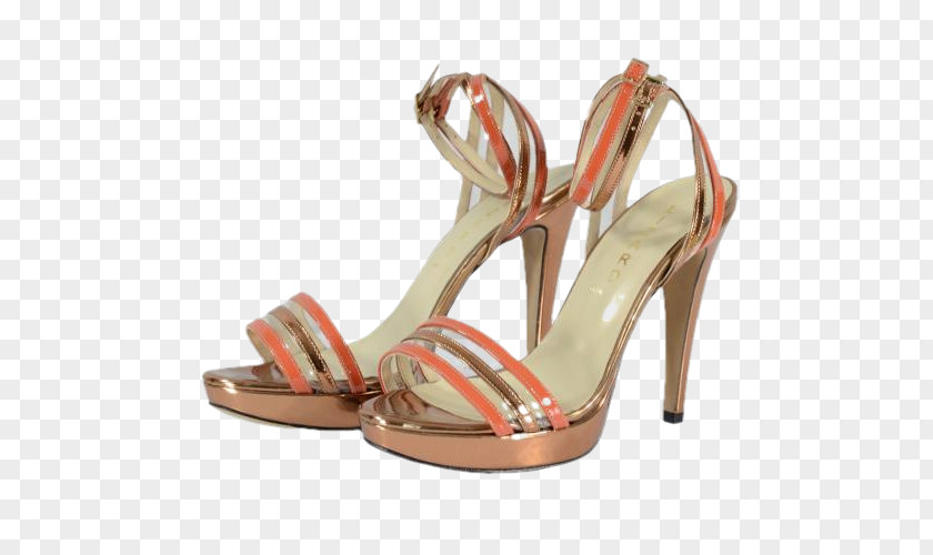 Sandal Shoe PNG