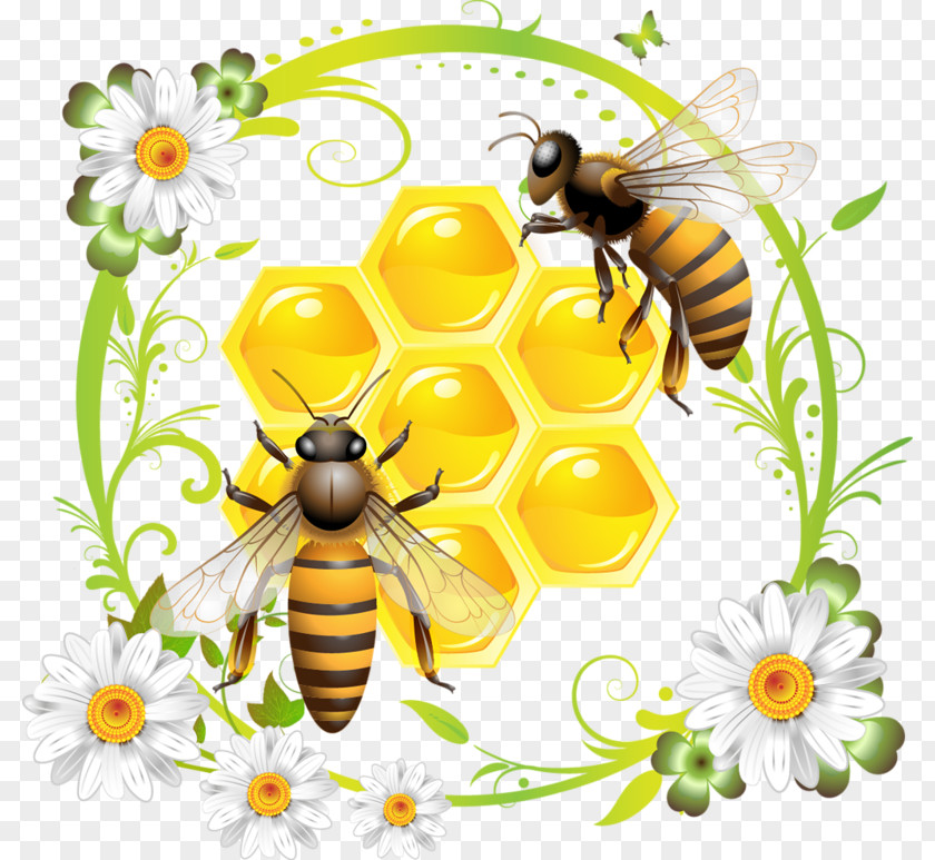 Bee Western Honey Honeycomb Clip Art PNG
