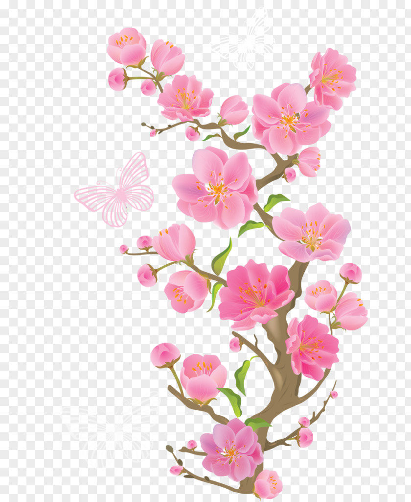Flower Blossom Pink Flowers Clip Art PNG