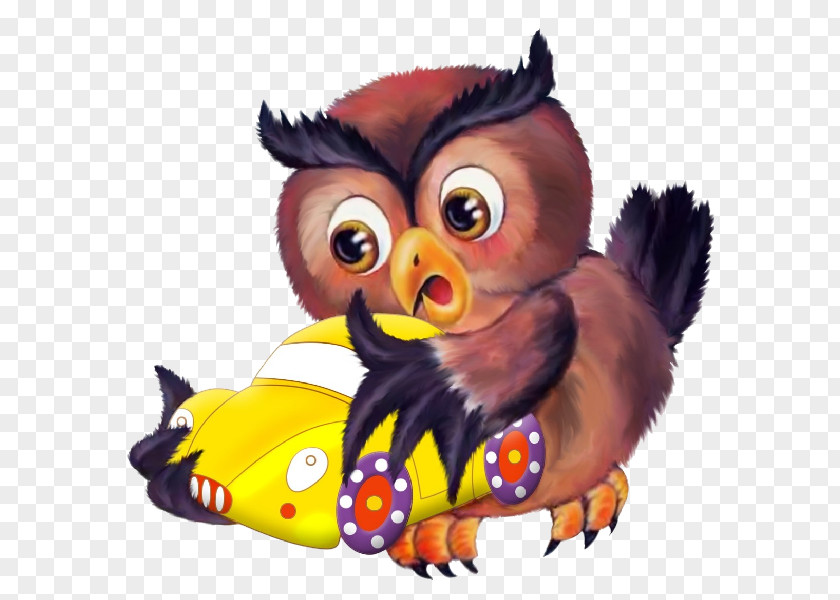 Animal Party Owl Bird Chouettes & Hiboux Beak PNG
