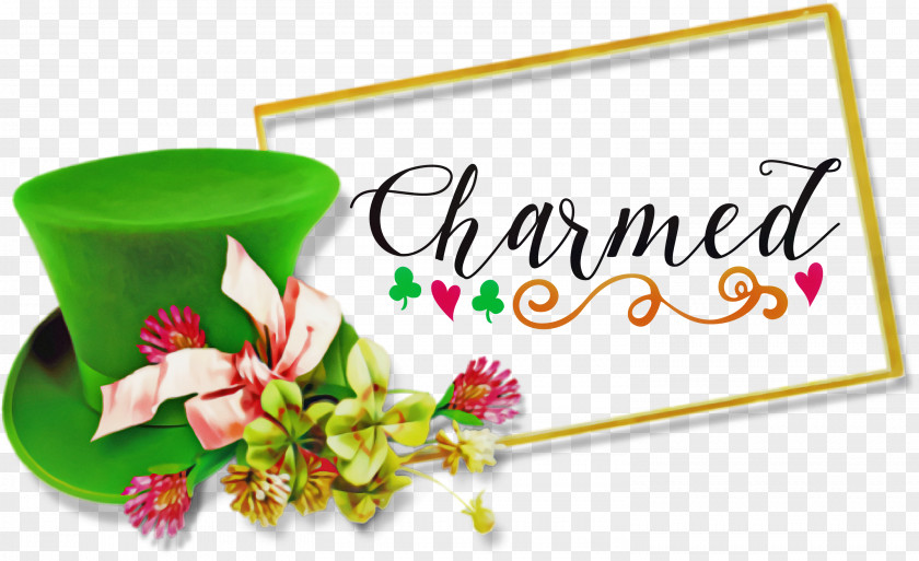 Charmed St Patricks Day Saint Patrick PNG