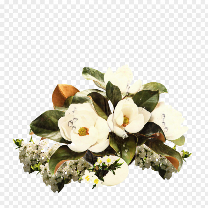 Cut Flowers Floral Design Flower Bouquet Flowering Plant PNG