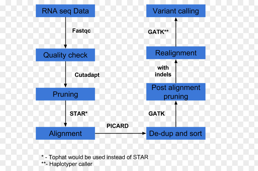 Expression Package RNA-Seq Transcriptome Sequencing TopHat PNG