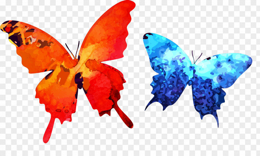 Ink Butterfly Watercolor Painting PNG