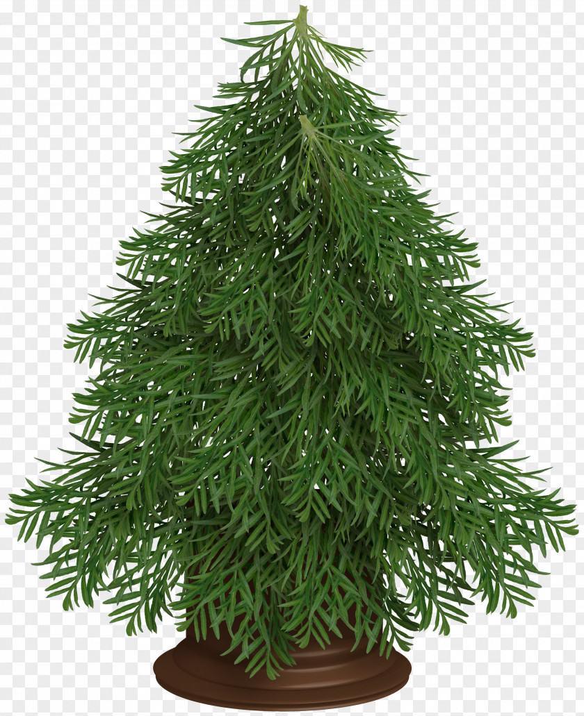 Luxury Christmas Tree PNG