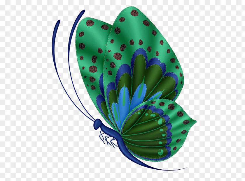 Butterfly Desktop Wallpaper Insect Clip Art PNG